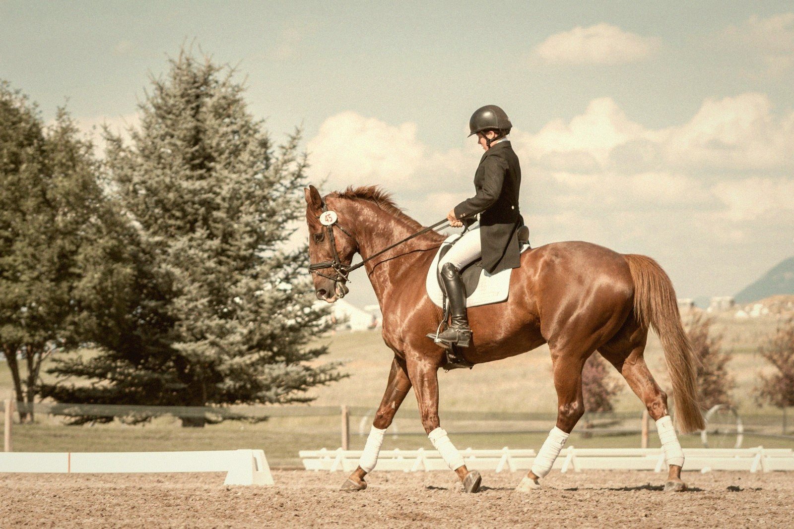 Dressage Letters, Decoded