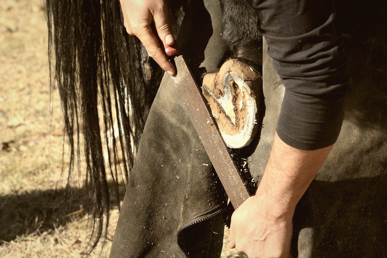 No Foot, No Horse