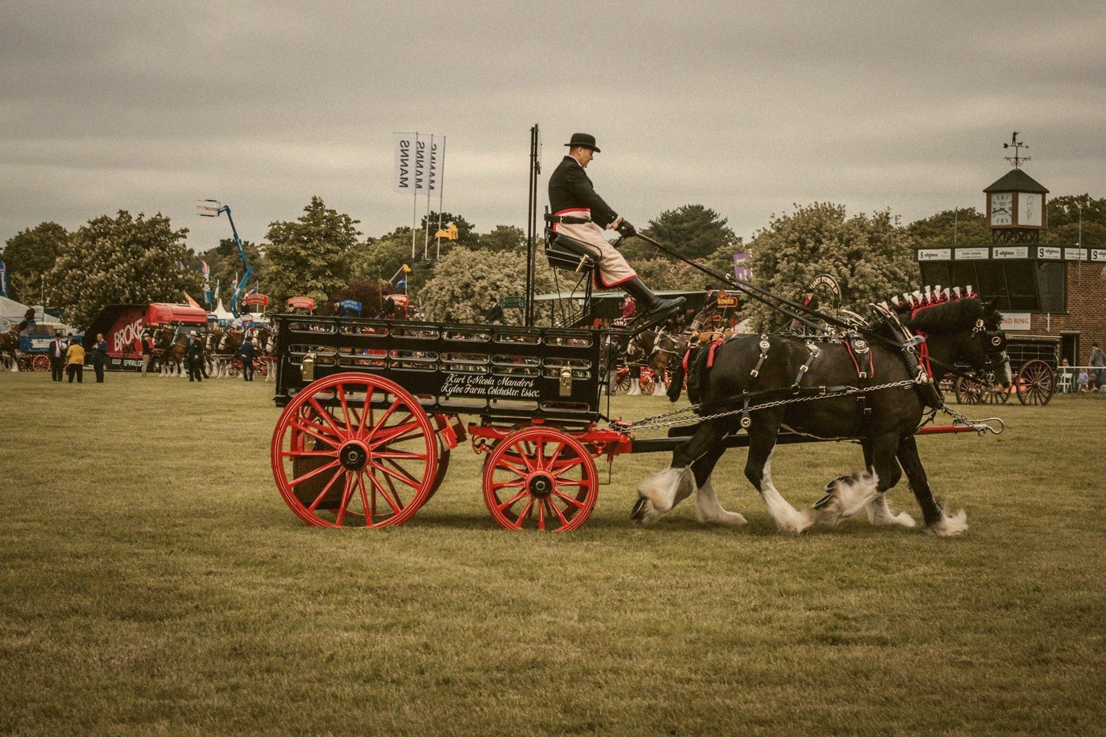 The Draft Horses: Gentle Giants