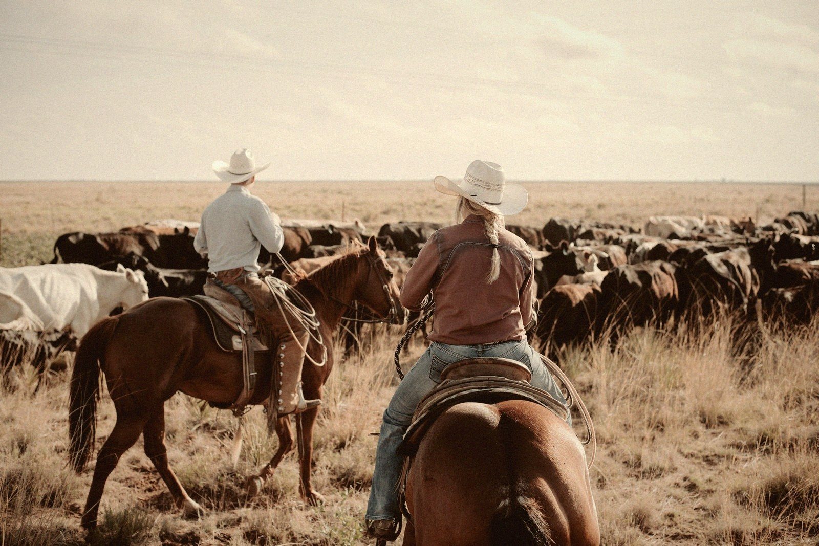 Two mounted riders in cowboy hats herd cattle across an open grassy plain