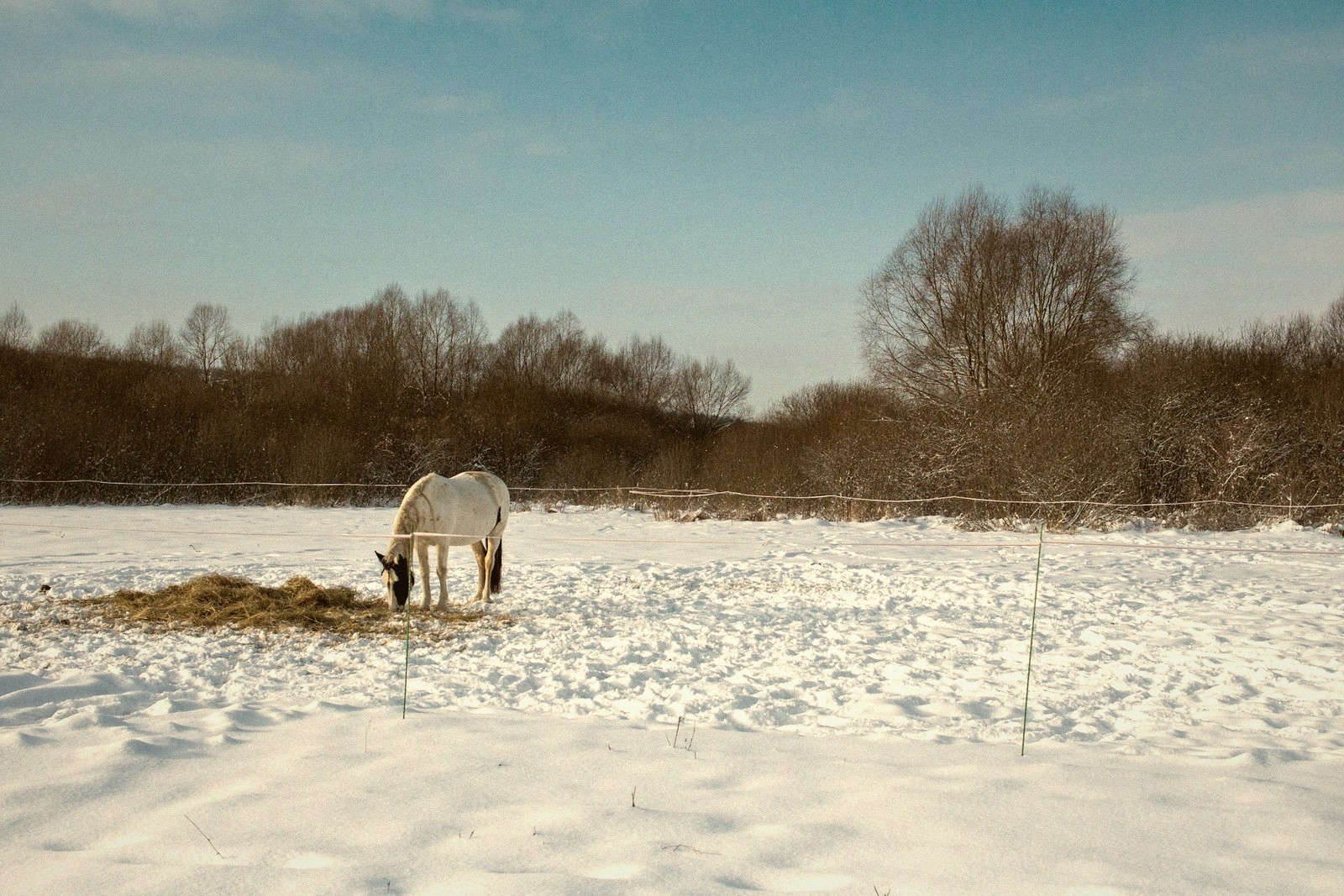 Winter Turnout, Done Well