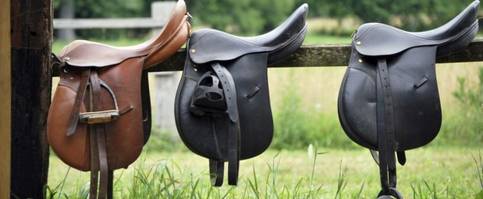 understanding-the-horse-saddle